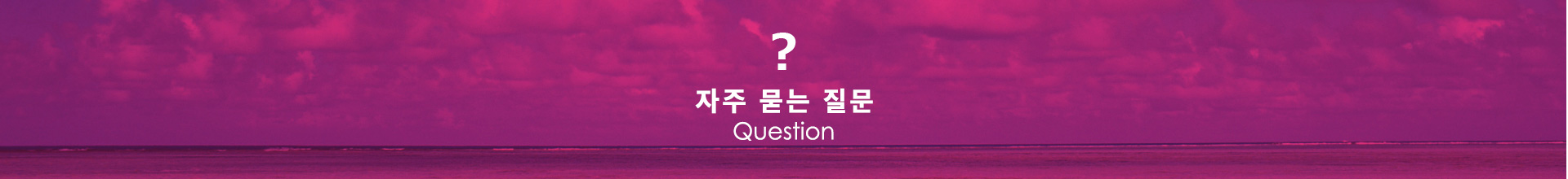 자주 묻는 질문